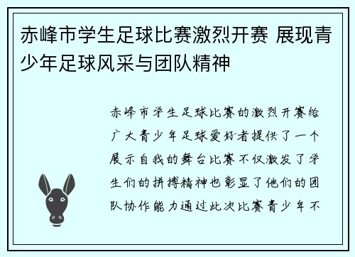 赤峰市学生足球比赛激烈开赛 展现青少年足球风采与团队精神