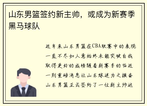 山东男篮签约新主帅，或成为新赛季黑马球队