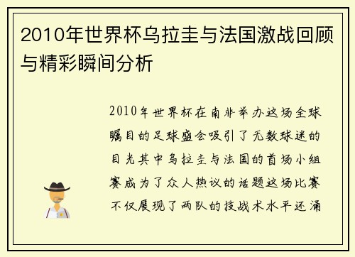 2010年世界杯乌拉圭与法国激战回顾与精彩瞬间分析