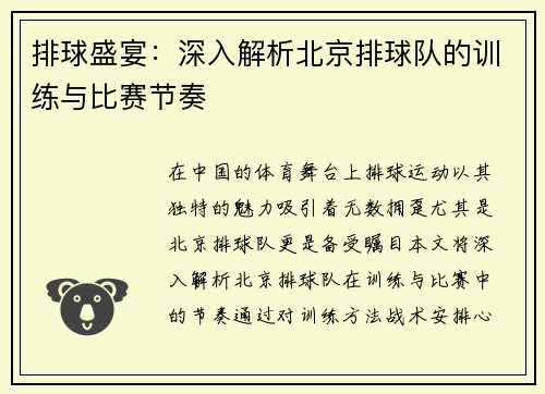 排球盛宴：深入解析北京排球队的训练与比赛节奏