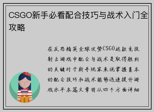 CSGO新手必看配合技巧与战术入门全攻略