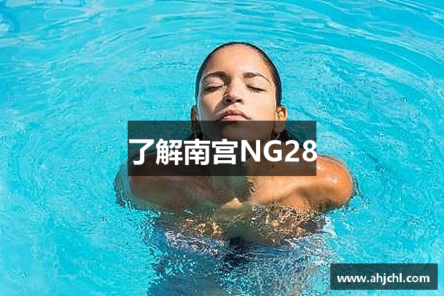 了解南宫NG28